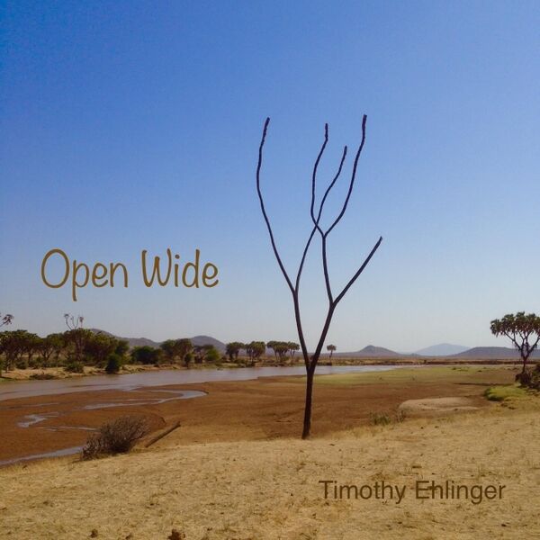 Cover art for Open Wide