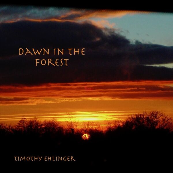 Cover art for Dawn in the Forest