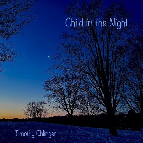 Cover art for Child in the Night